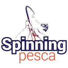 Spinning pesca